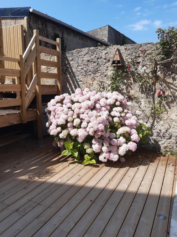 Nature - Gite Entierement Neuf A 100M De La Plage ヴィムルー エクステリア 写真